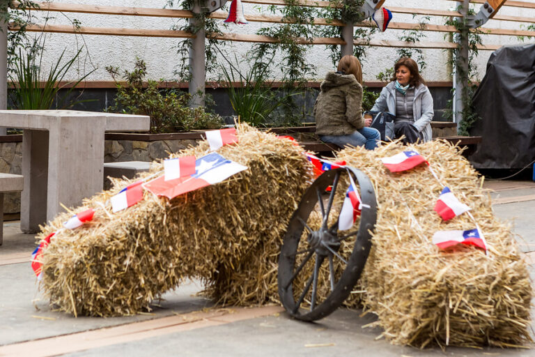 Diputado Silber anunció proyecto para que el 17 de septiembre sea feriado irrenunciable