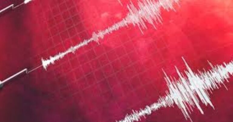 Nuevo sismo en Vanuatu: SHOA descarta riesgo de tsunami en costas chilenas