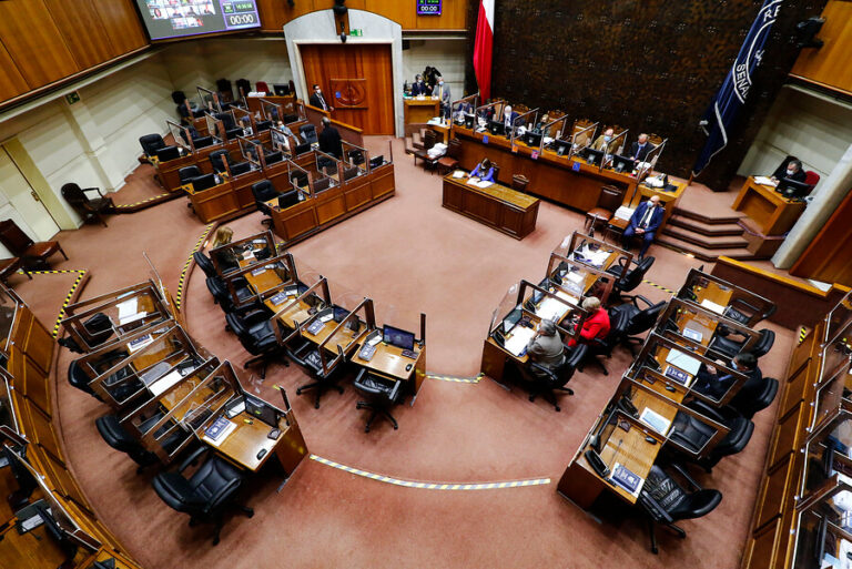 Comisión aprueba 23 escaños reservados para pueblos originarios en la Convención Constitucional