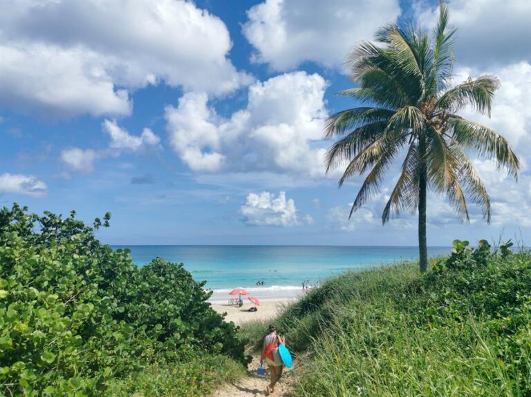 Reabre sus fronteras: Turistas pueden volver a visitar Cuba, pero no La Habana