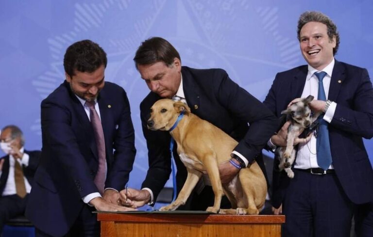 Ley contra el maltrato animal: Bolsonaro promulgó ley haciendo que su perro la “firmara”