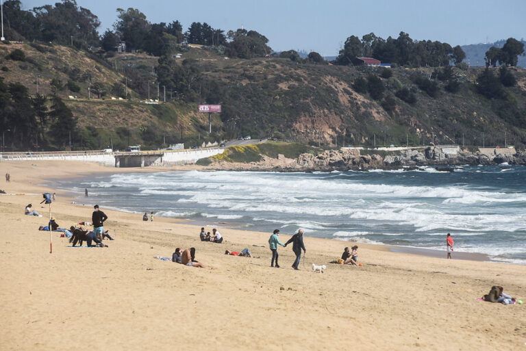 Plan Paso a Paso: Valparaíso, Viña del Mar y todas las comunas que avanzaron a Preparación