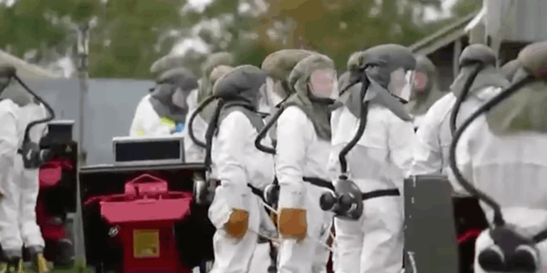 17 millones de visones serán sacrificados por mutación del COVID-19 que amenaza el desarrollo de vacunas