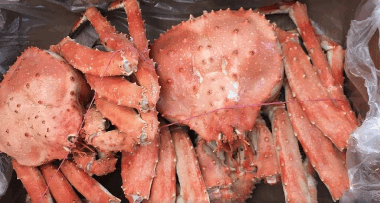 Sernapesca anuncia suspensión de empresa tras hallazgo de China de COVID-19 en productos marinos chilenos