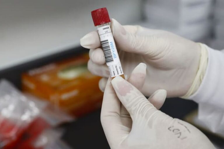 CEO de Pfizer dice que a fines de noviembre tendrán los datos de seguridad de la vacuna contra el COVID-19