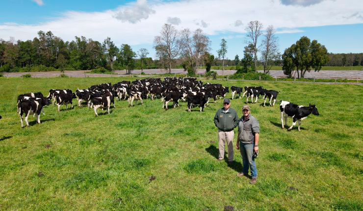 Las ventajas del emprendimiento juvenil: Una forma de desarrollarse con libertad y marcar diferencias