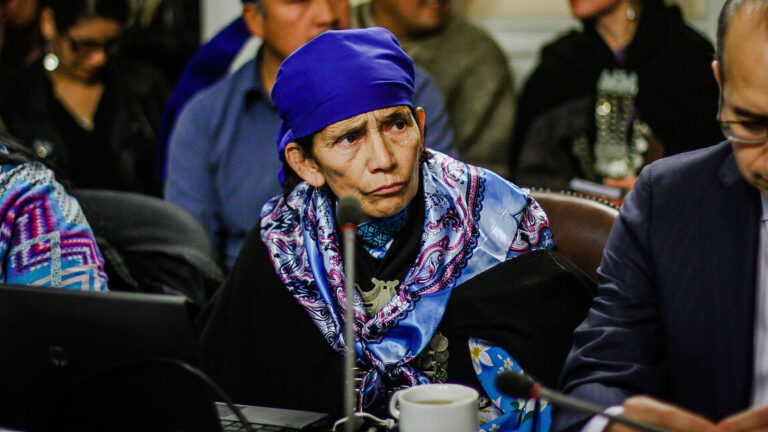 Machi Linconao logró reunir las firmas necesarias y presentará su candidatura constituyente