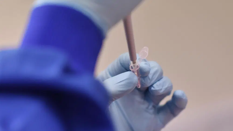 Vacuna de Pfizer podría estar disponible en Chile durante los próximos días o semanas