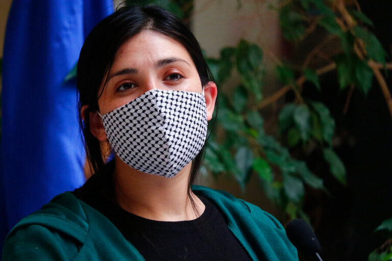 Cariola y ex Concertación: 