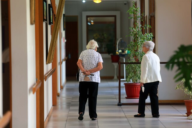 Impulsan campaña para promover apoyo a los adultos mayores durante la pandemia