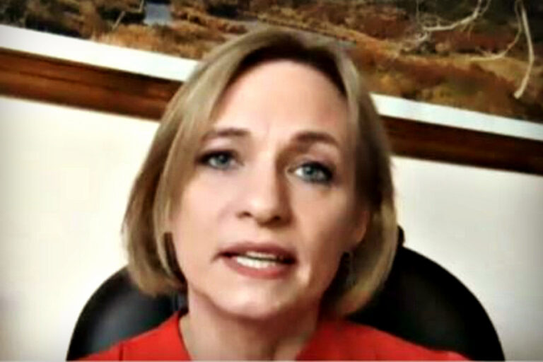 Carolina Goic por ampliación de postnatal: “Se puede extender hasta probablemente el año de edad del niño”