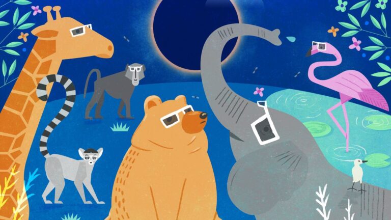 ¿Cómo afectan los eclipses a los animales? Conoce sus particulares comportamientos