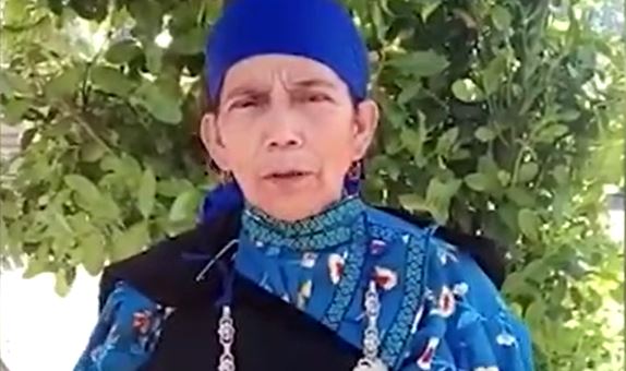 Machi Linconao pide al gobierno que apoye escaños reservados: 