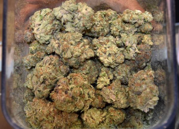 El consumo de marihuana reduciría las posibilidades de un embarazo, según estudio