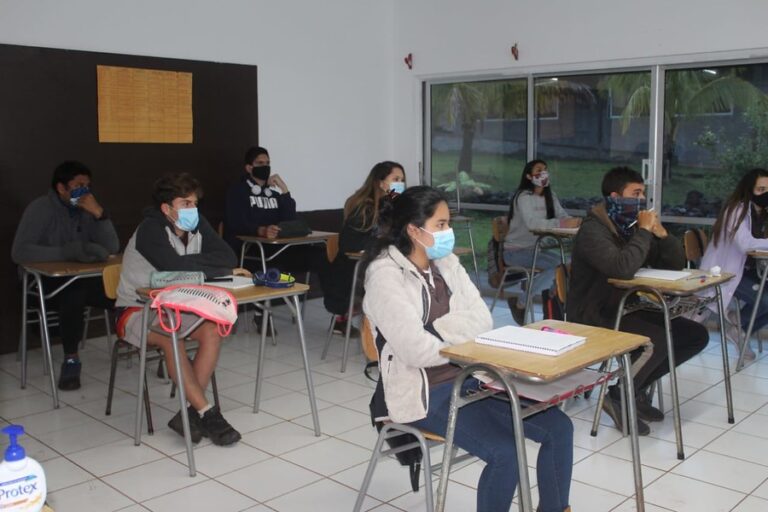 Mineduc presentó las modalidades de clases por carrera en la educación superior para el 2021