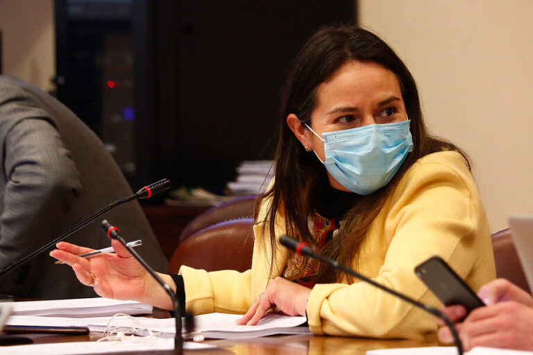 Diputada Pérez (DC): 