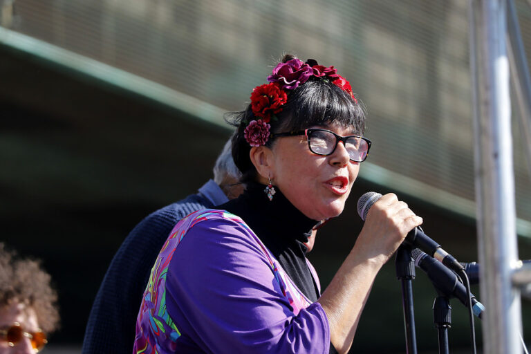 Malucha Pinto anunció su candidatura a la Convención Constitucional: 