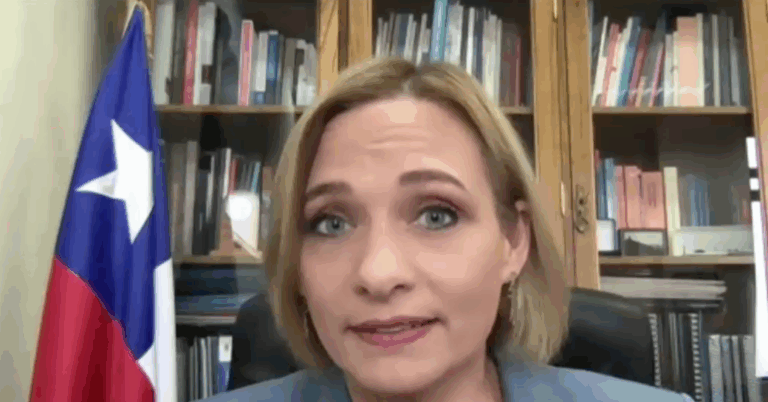 Senadora Goic y reforma de pensiones: 