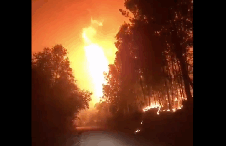 Realizan evacuación en Nacimiento por incendio forestal que mantiene a la comuna con Alerta Roja