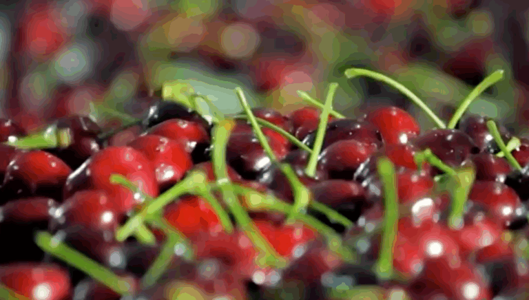 China destruyó cerezas importadas tras detectar trazas de COVID-19