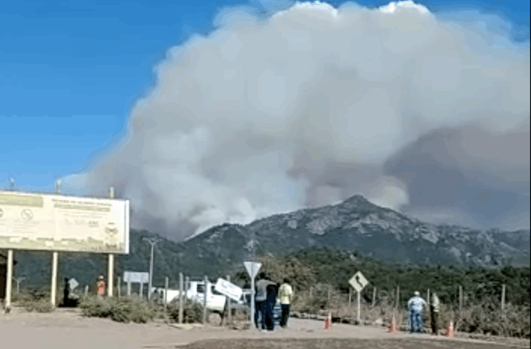 Onemi envía alerta SAE para evacuar sector poblado de San Fernando por incendio forestal