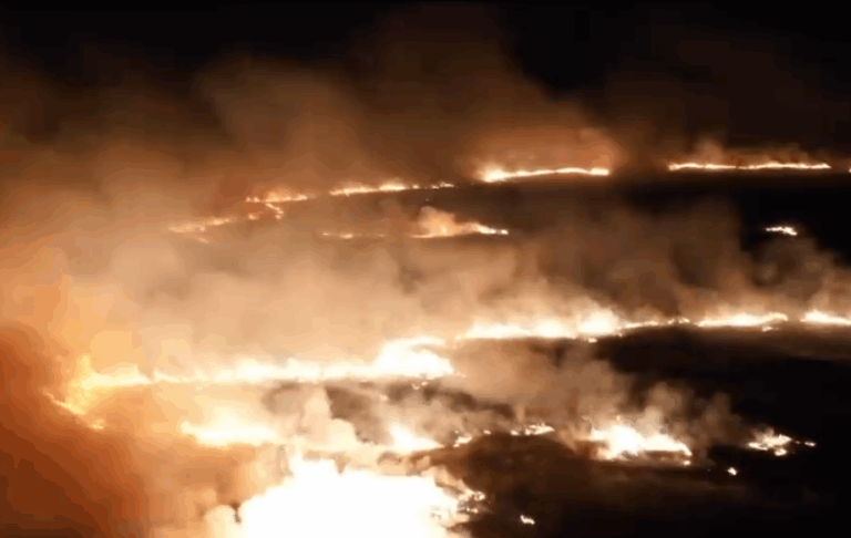 Detienen a quien habría ocasionado incendio forestal que ha consumido más de 600 hectáreas en Isla de Pascua