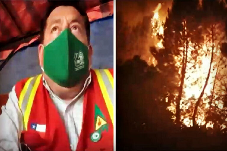 Director de Conaf del Biobío: “Dentro de la tarde podríamos tener medianamente contenido este incendio”