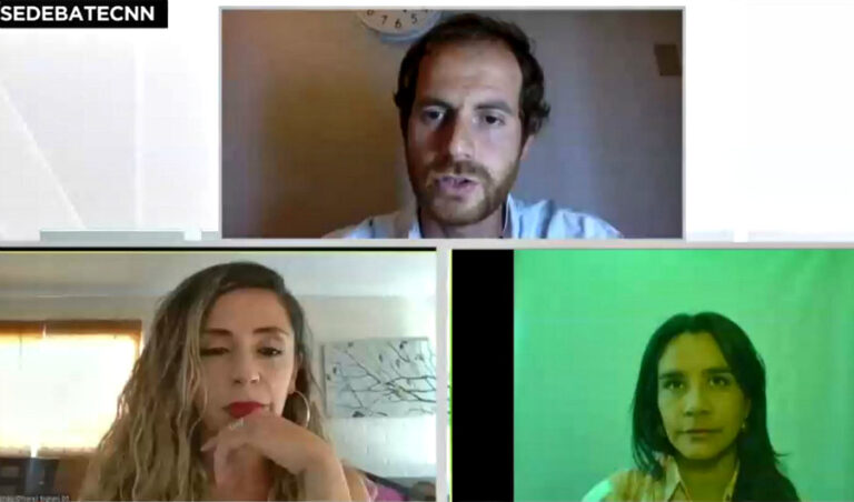 “Es fundamental un reconocimiento constitucional”: Araya, Cozzi y Olivares debaten por conflicto en La Araucanía