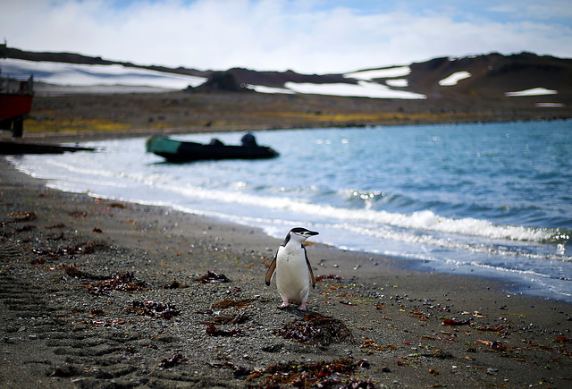 Distrito 28: Esta es la lista completa de candidatos a constituyentes
