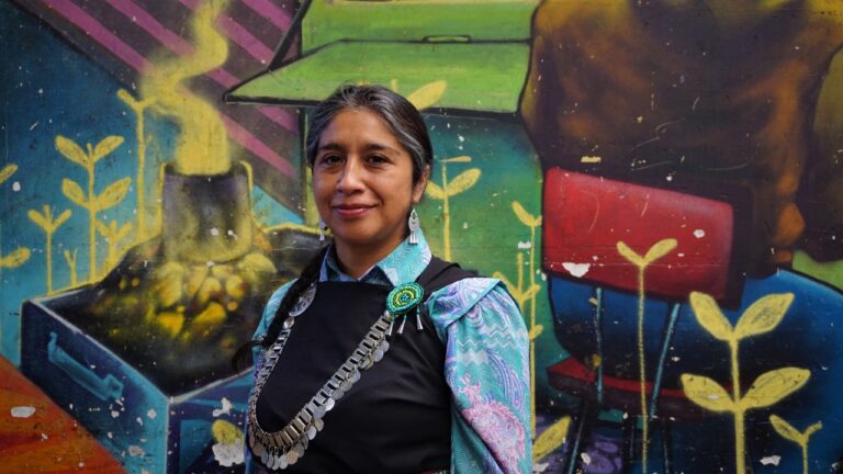 El territorio mapuche de Ingrid Conejeros, la ex vocera de la Machi Linconao que va a la CC