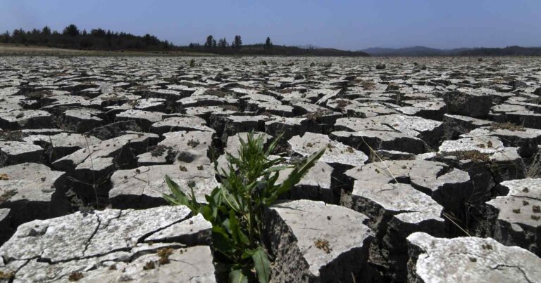 En marco del Día Mundial del Agua, ¿Qué medidas se deben implementar para afrontar la crisis hídrica en Chile?