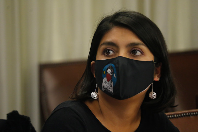 9M: Diputada Rojas solicita sesión especial para analizar el rol del Estado frente a la violencia de género