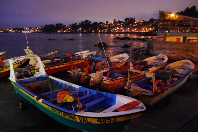 SHOA canceló Estado de Precaución para la zona continental de Magallanes, Isla de Pascua e Isla San Félix