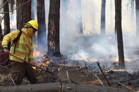 Declaran Alerta Roja para Valparaíso y Casablanca por incendio forestal que amenaza al Lago Peñuelas