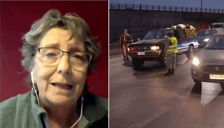 Ex ministra Barría dice que Chile tiene alta tasa de mortalidad porque 