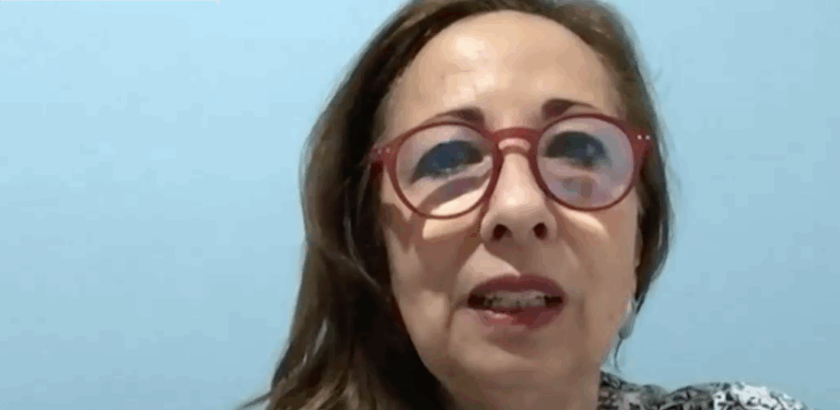 Diputada Sepúlveda cree que el gobierno busca 