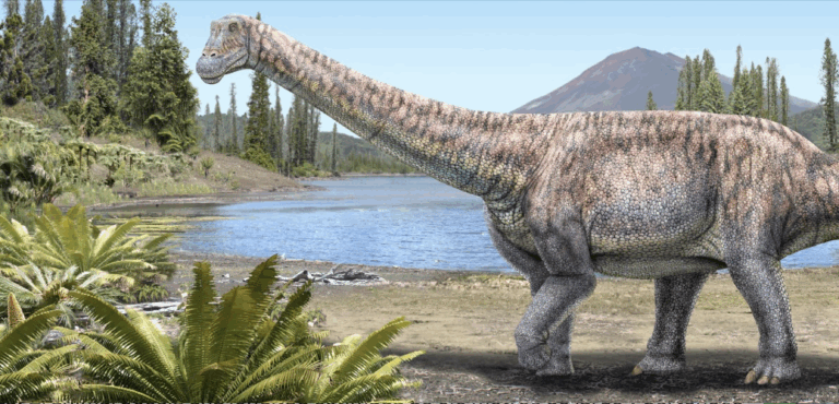 Conoce a Arackar Licanantay: Presentan a una nueva especie de dinosaurio chileno