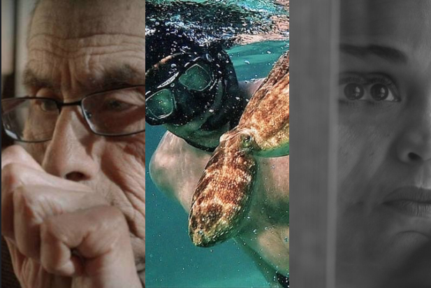 La votación es distinta: ¿Cómo se elige al ganador de Mejor Documental en los Oscar?