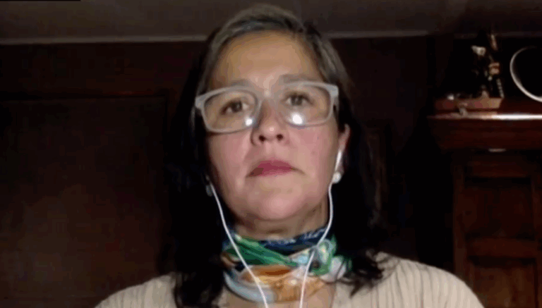 Pardo por anuncio de Matthei: 