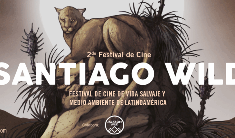 Del 2 al 12 de septiembre: Festival de cine Santiago Wild 2021 lanza convocatoria para toda Latinoamérica