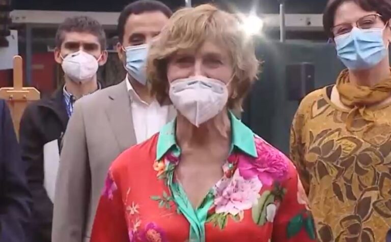 Matthei y su candidatura por la UDI: 