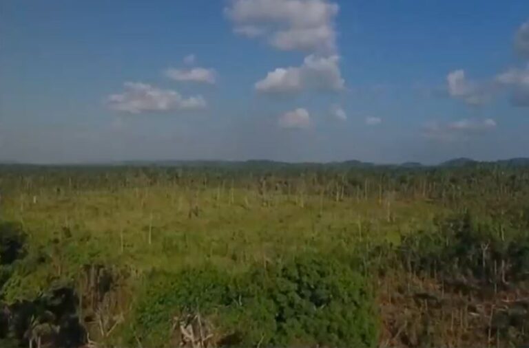 Sohr y renuncia del ministro del Medio Ambiente en Brasil: 