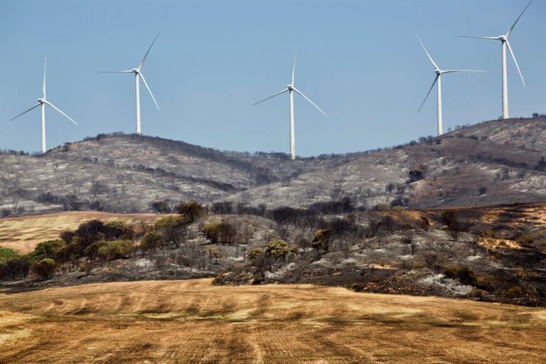 Sohr por sobregiro ecológico: 