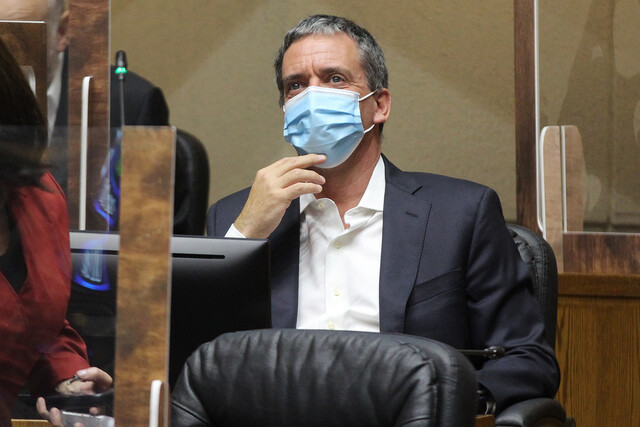 Felipe Harboe se sumó a la primera sesión de la CC de forma telemática