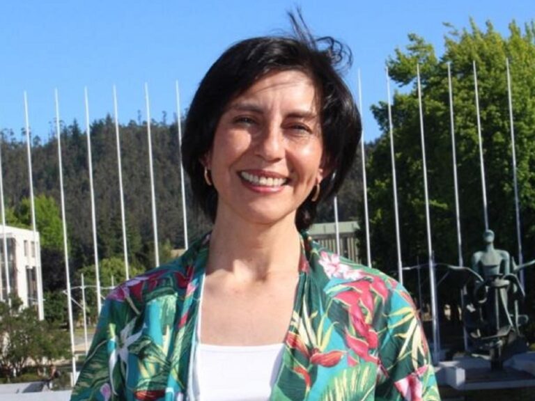 Convencional Rossana Vidal tras renunciar a la Lista del Pueblo: 