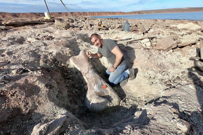 Descubren los restos de un dinosaurio gigante de 90 millones de años en Argentina