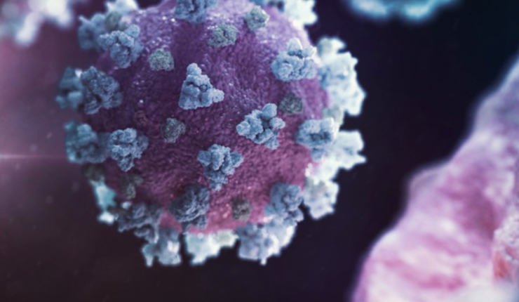 Descubren medicamentos existentes que pueden identificar y destruir el COVID-19 en las células