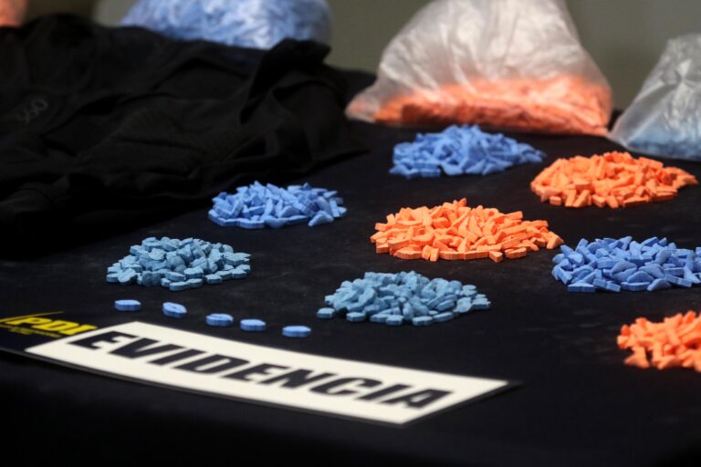 PDI incauta más de 6 mil pastillas de éxtasis proveniente de Alemania con destino a Las Condes