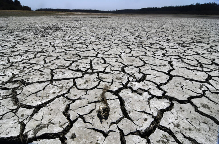 Crean en el país el primer Fondo de Agua para combatir la sequía en la Región Metropolitana