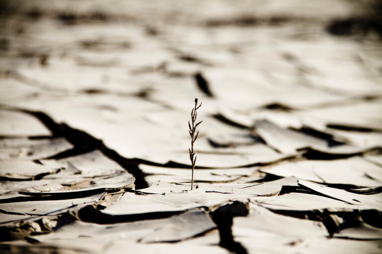 Columna de Claudio Alvarado: Crisis climática y tiranía del presente